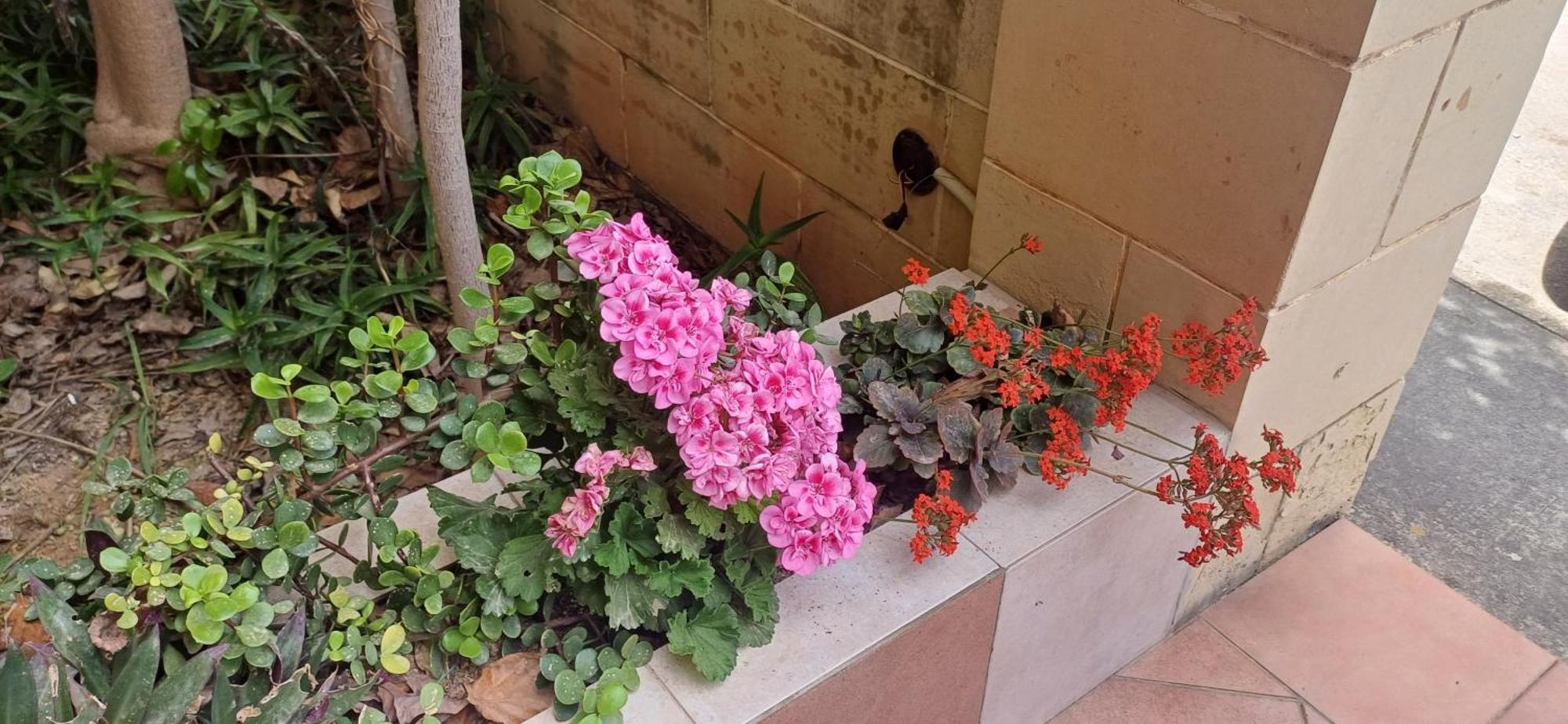 Cosy Spacious Maisonette Marsaskala